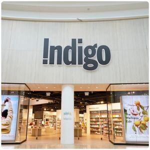 Case Study Indigo Books and Music Inc